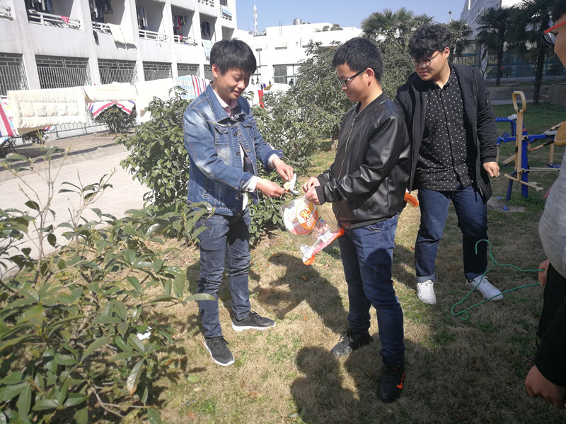 实践活动1 (3)_副本.jpg