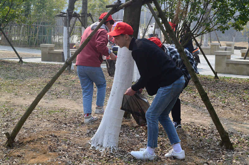 1552611011763051869.jpg 333.jpg