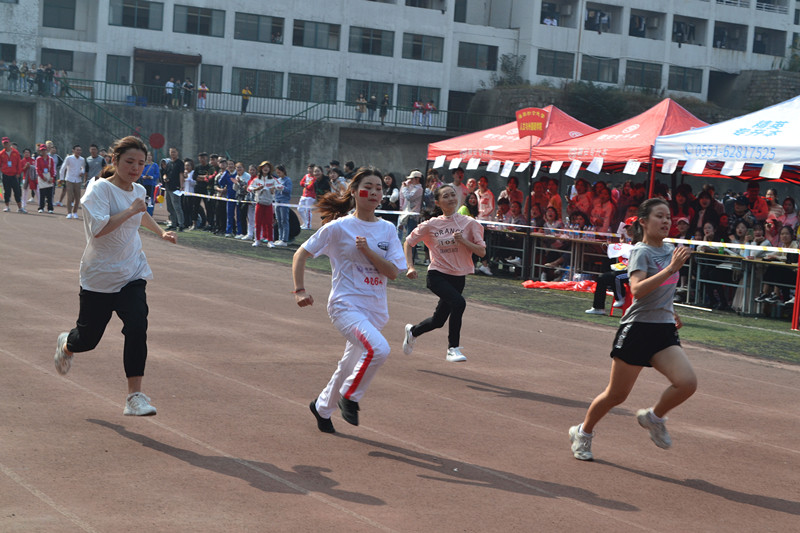 1572343252246039409.jpg 33.jpg